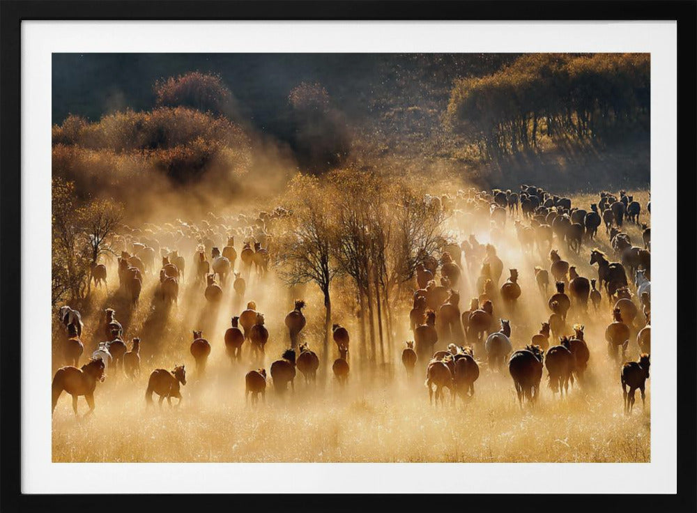 Horses | Poster