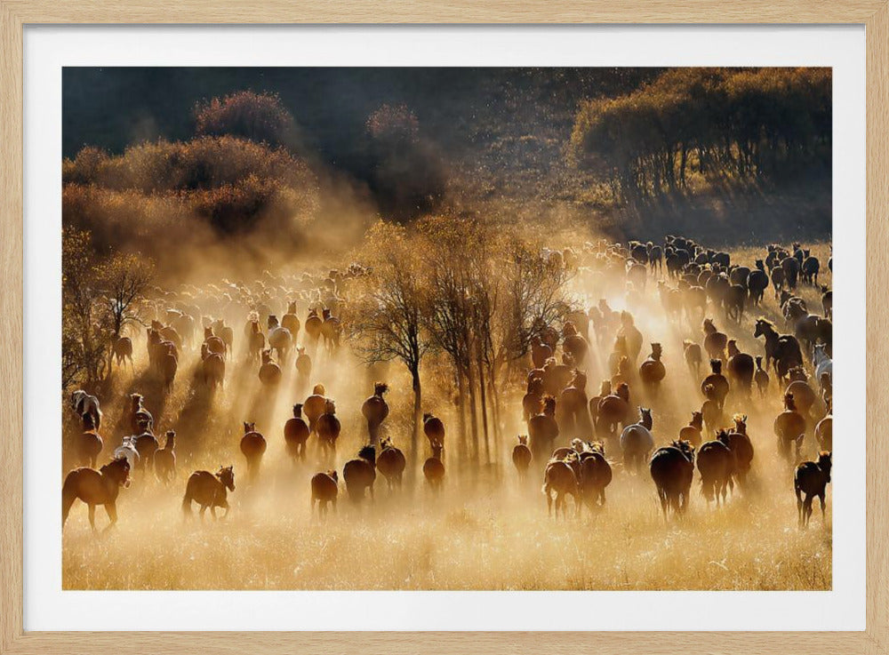 Horses | Poster