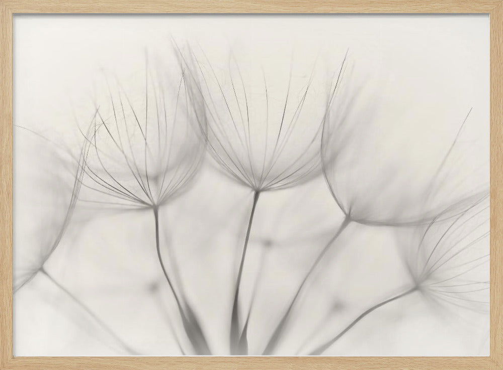 Ohne Titel | Poster