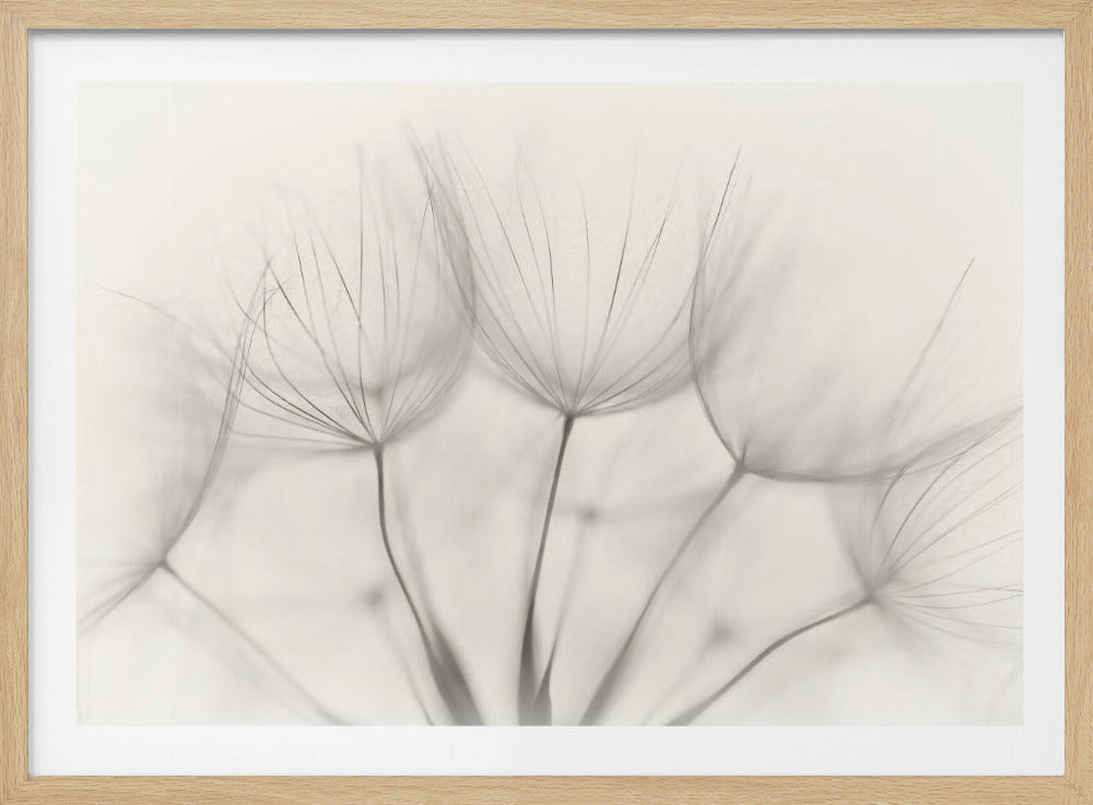 Ohne Titel | Poster