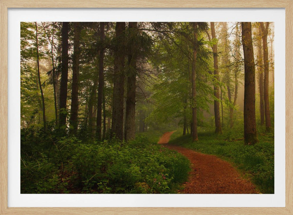 Der Rote Pfad. | Poster