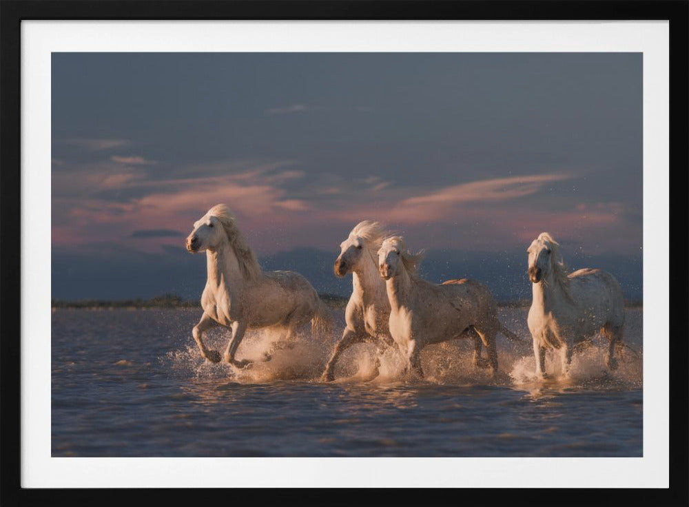 Engel der Camargue | Poster