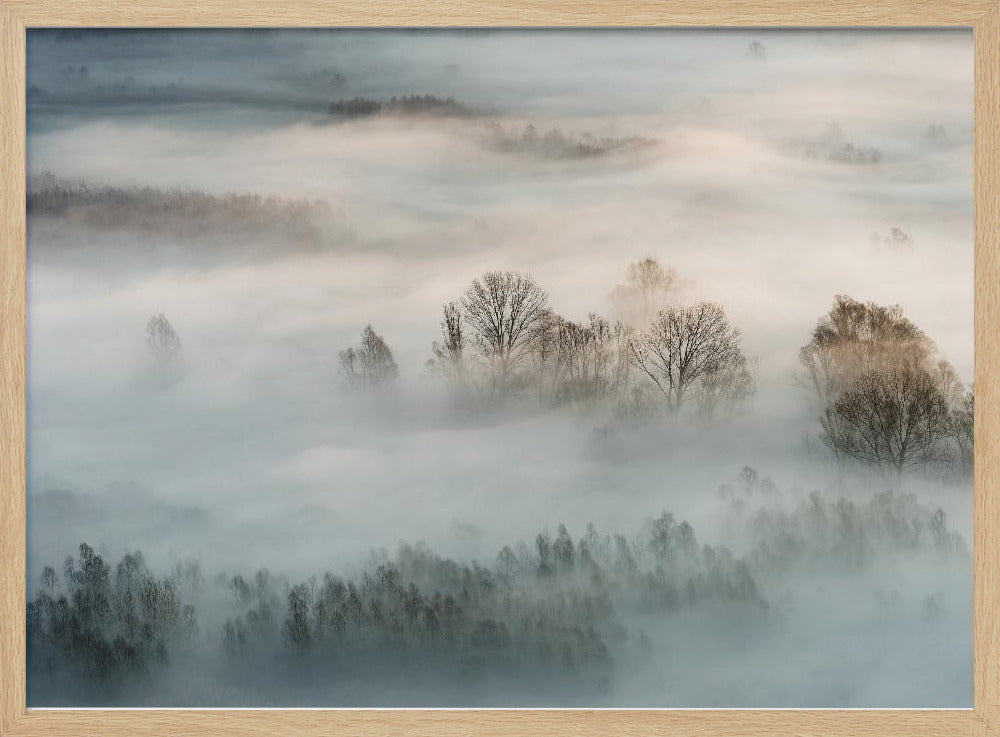 Winter fog | Poster
