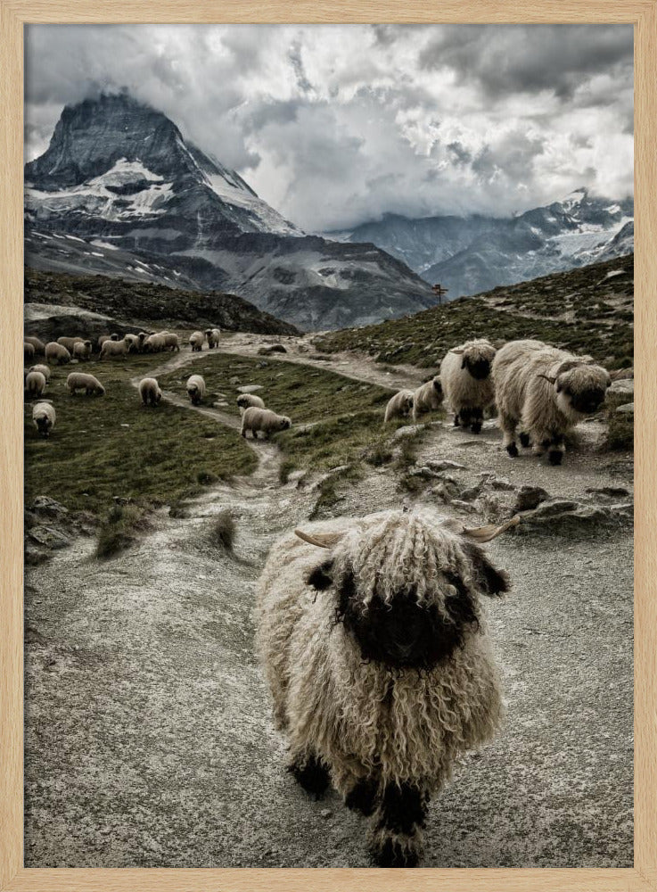 Aus dem Weg | Poster