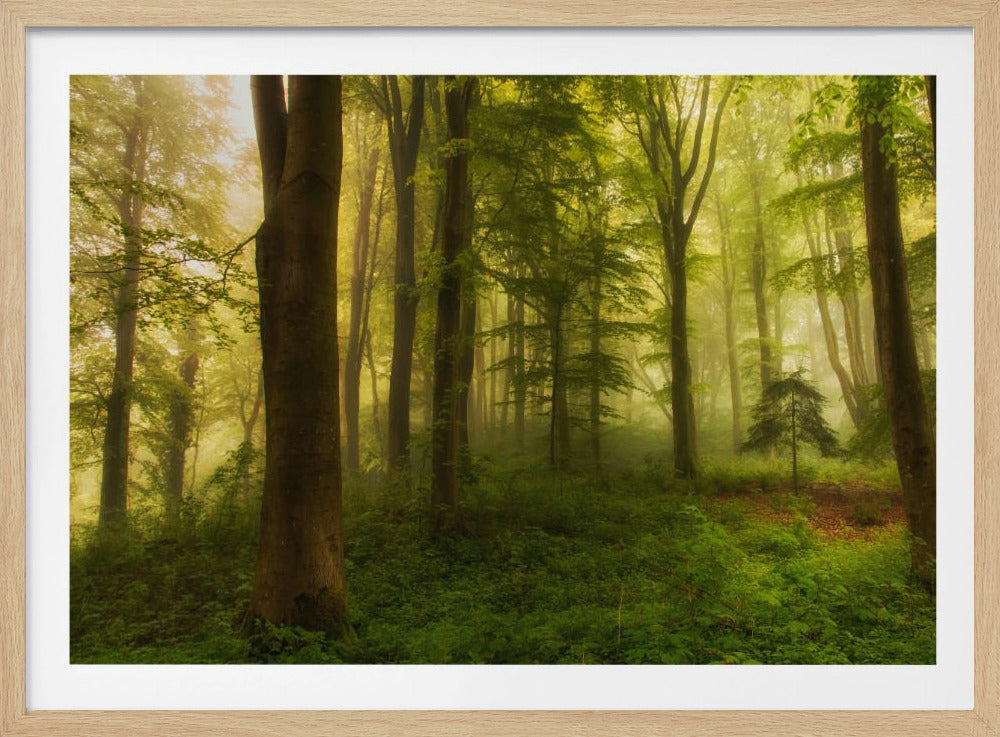 Der kleine Baum | Poster