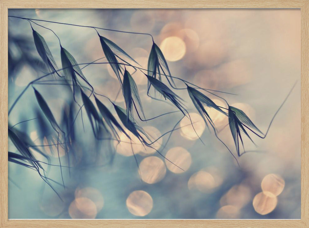 ...<<< | Poster