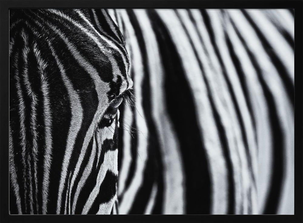Der Blick der Natur | Poster