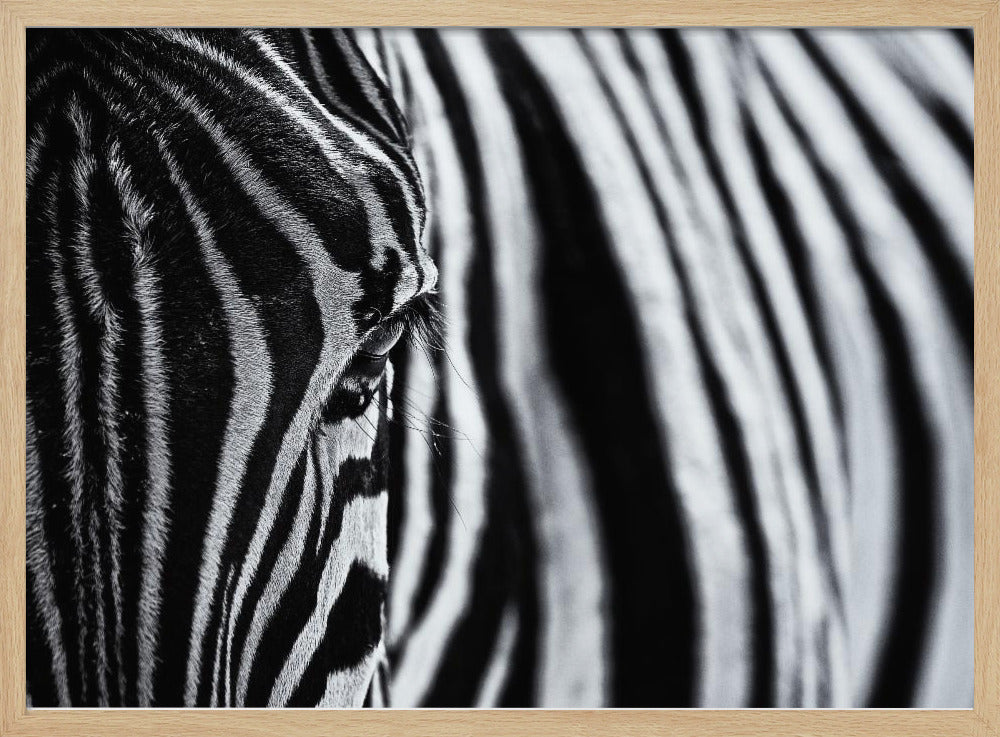 Der Blick der Natur | Poster