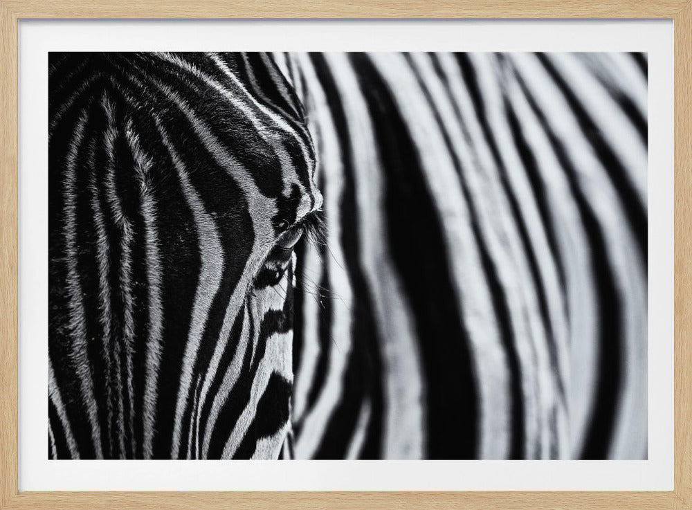 Der Blick der Natur | Poster