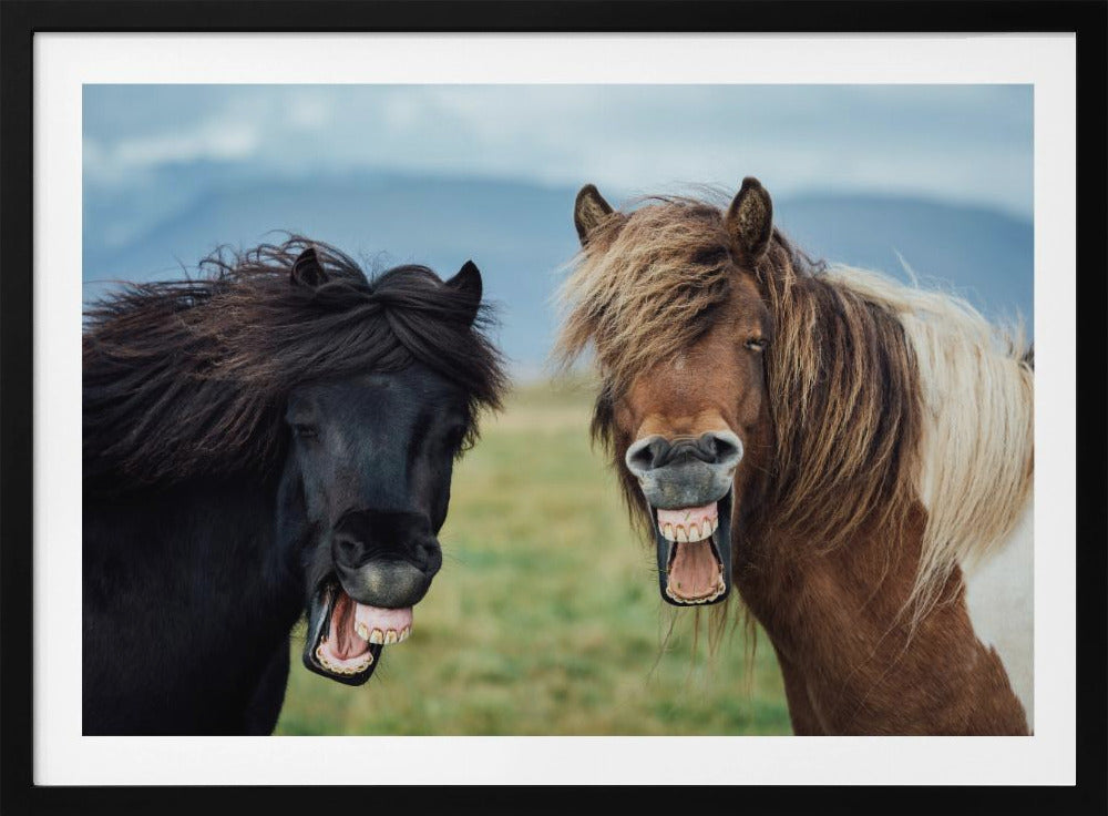 WILD SMILE | Poster