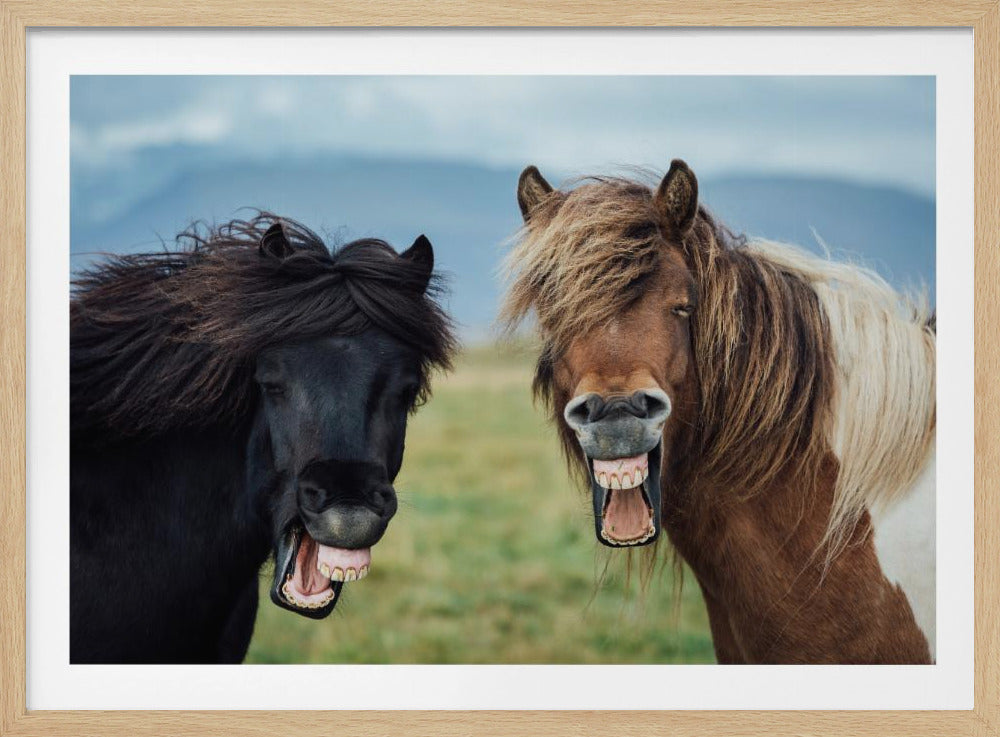 WILD SMILE | Poster