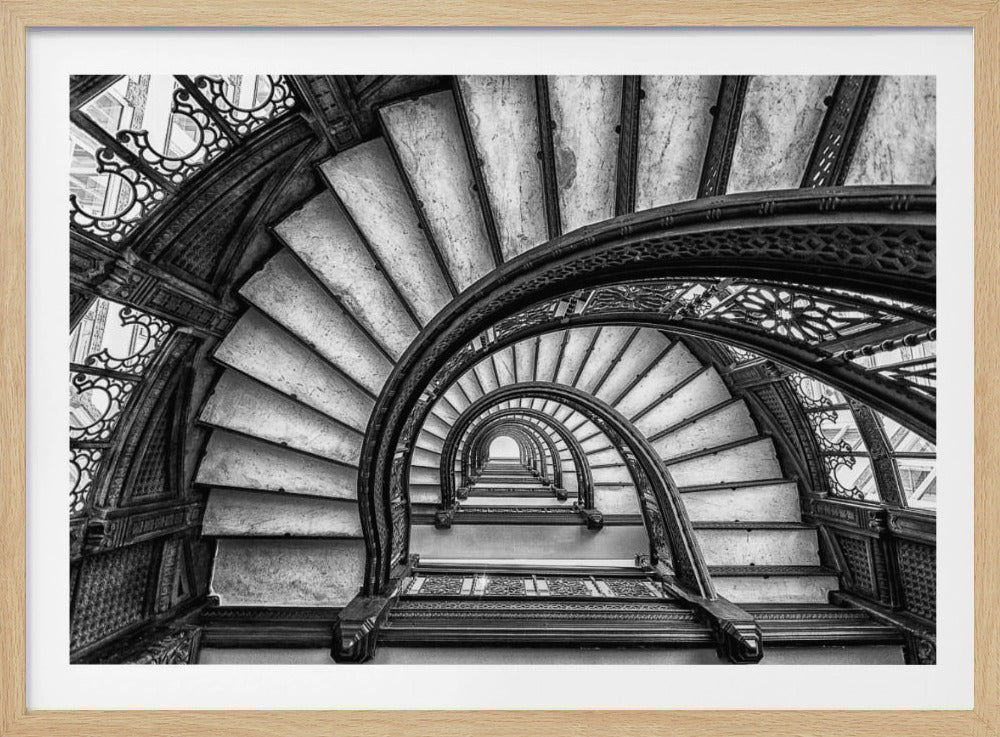 The Rookery | Poster
