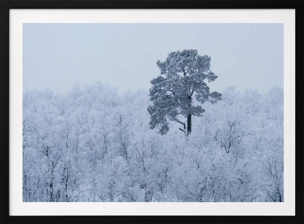 Erster Schnee | Poster