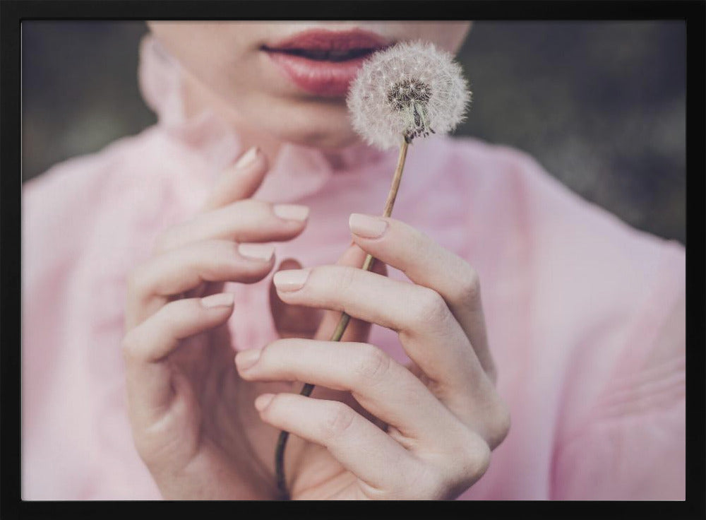 Dandelion | Poster