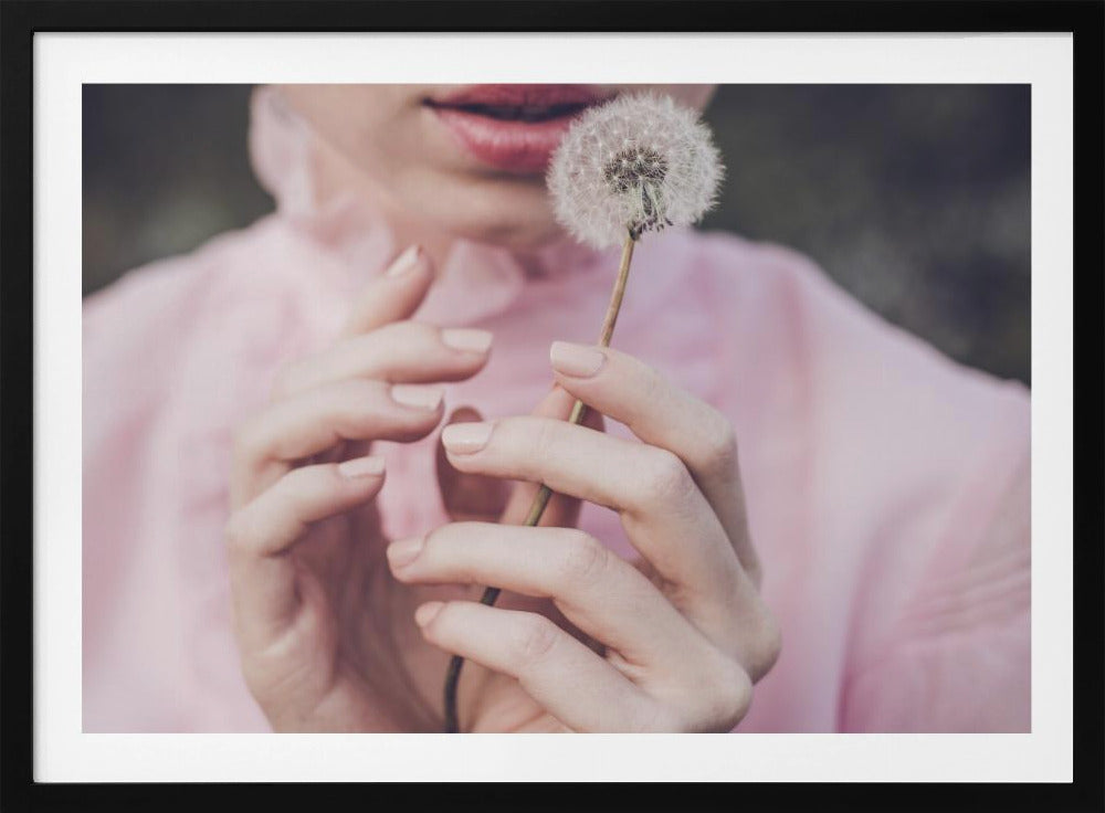Dandelion | Poster
