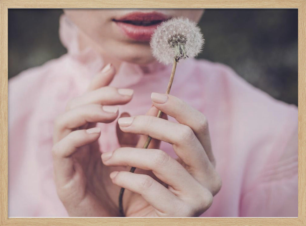 Dandelion | Poster
