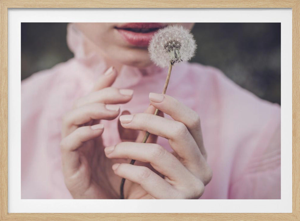 Dandelion | Poster