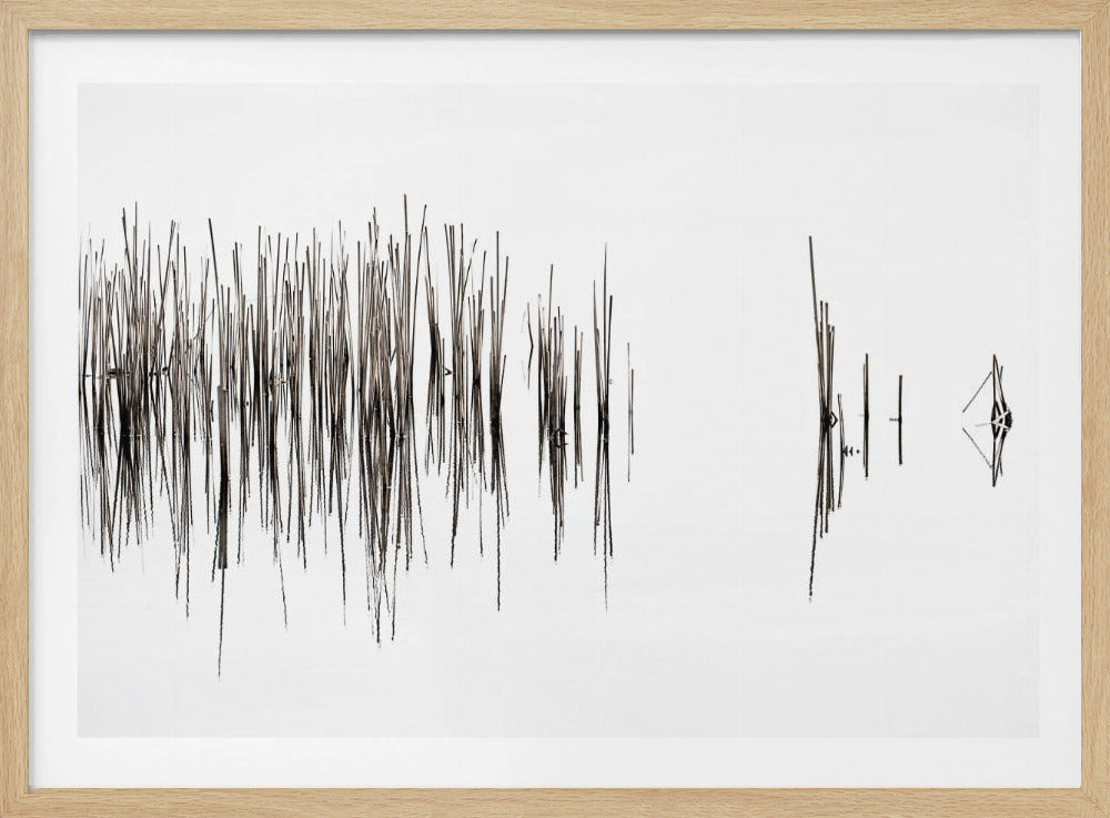 Rhythm | Poster