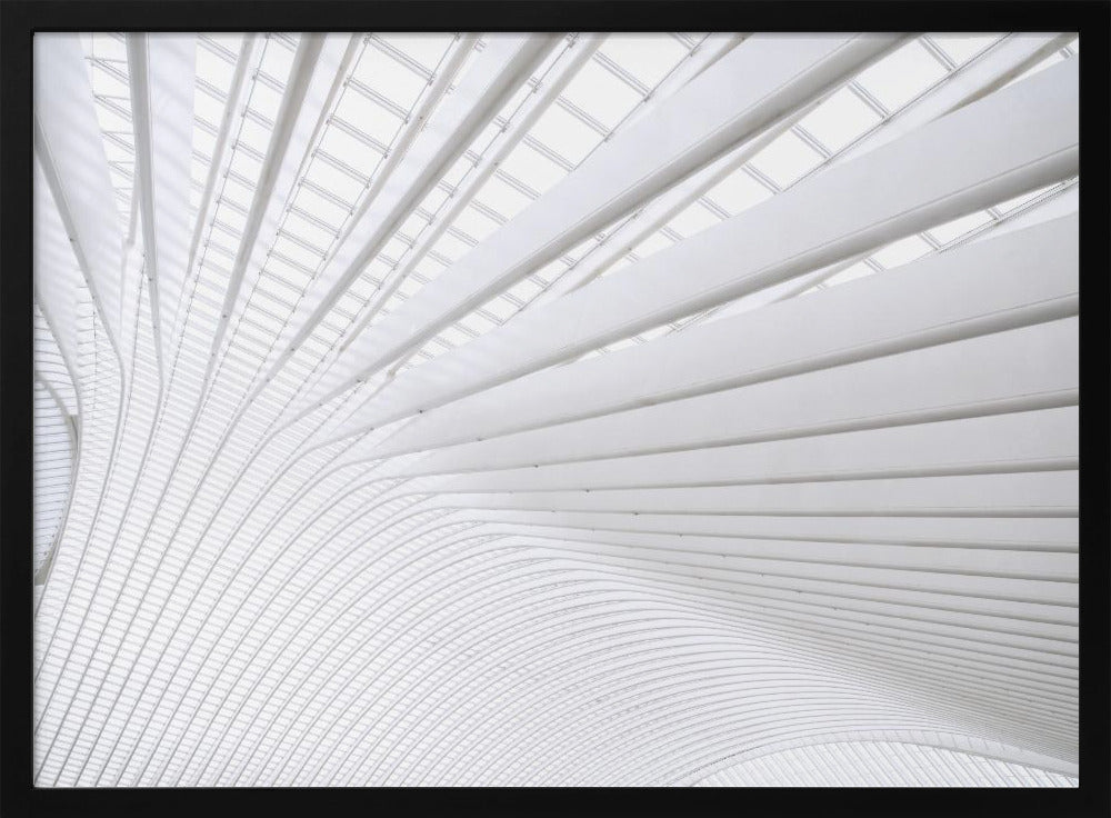 Curvature | Poster