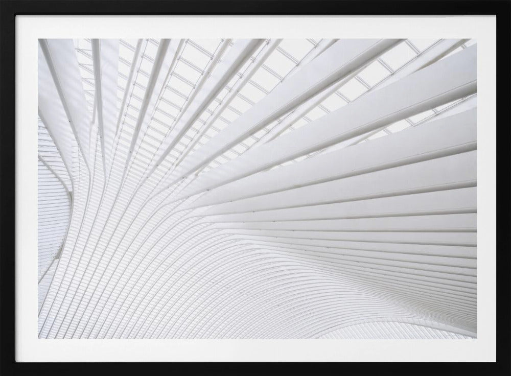 Curvature | Poster