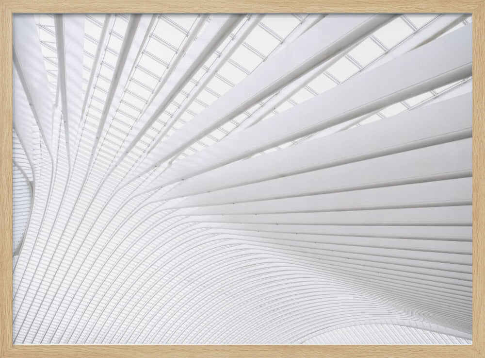Curvature | Poster