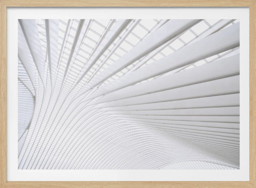 Curvature | Poster