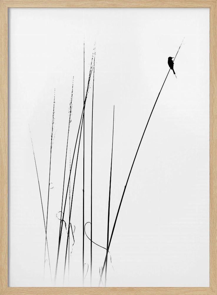 ein Sabbatical | Poster