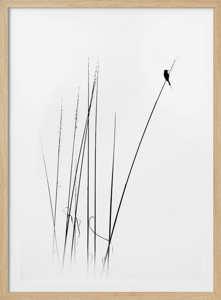 ein Sabbatical | Poster