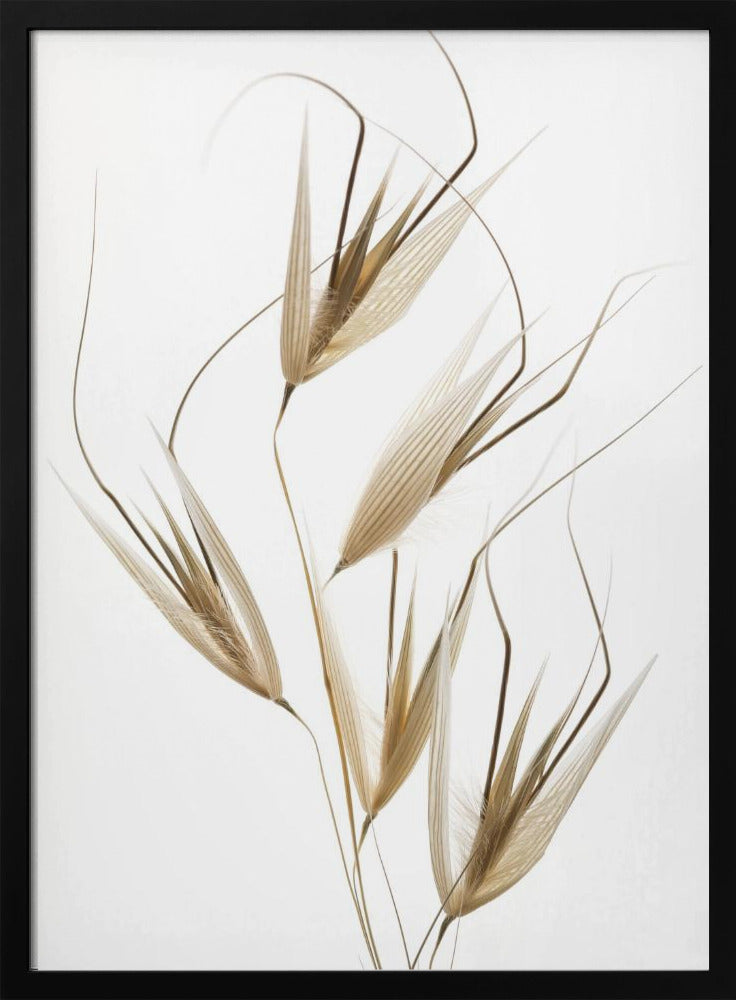 Zartheit der Natur | Poster