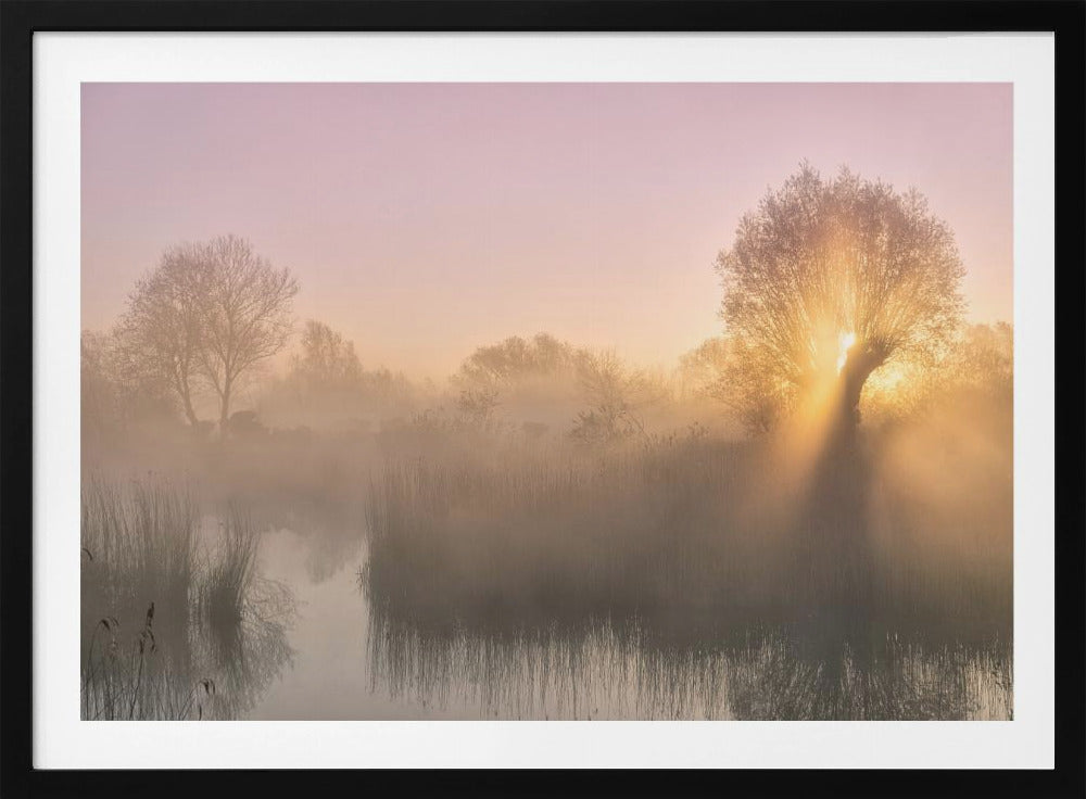 Stille | Poster