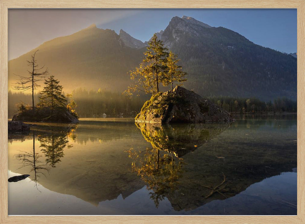 Goldener Morgen | Poster