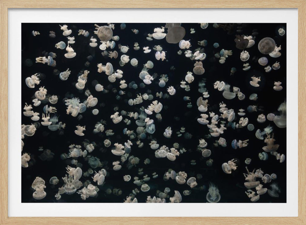 Nur ein paar Gelees | Poster