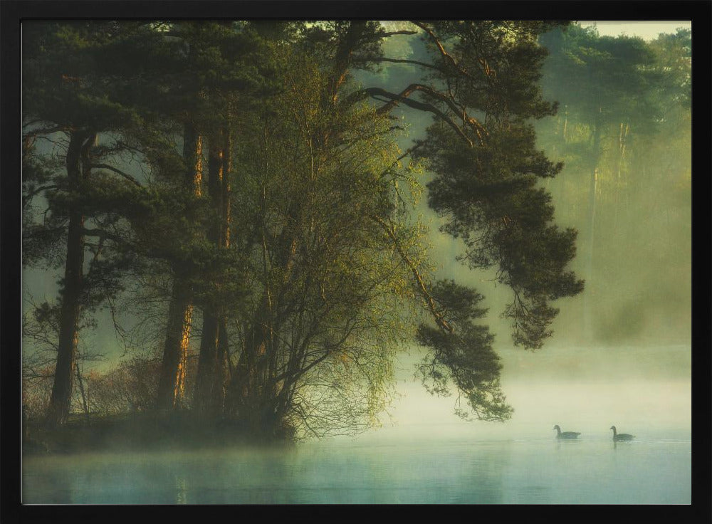 Holländisches Moor | Poster