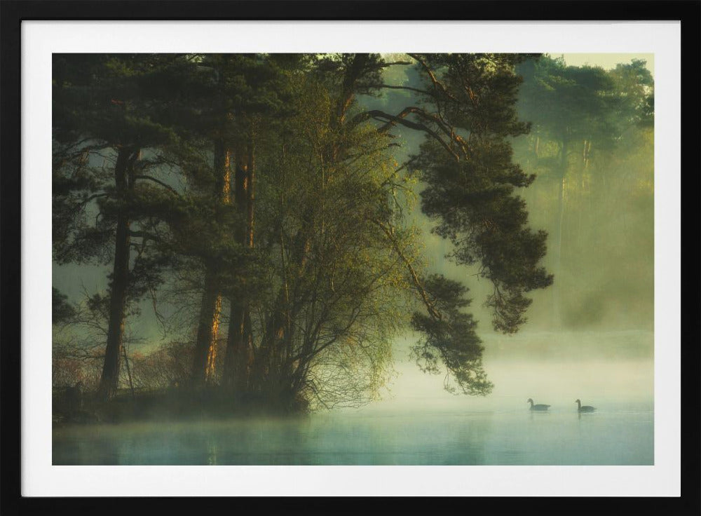 Holländisches Moor | Poster