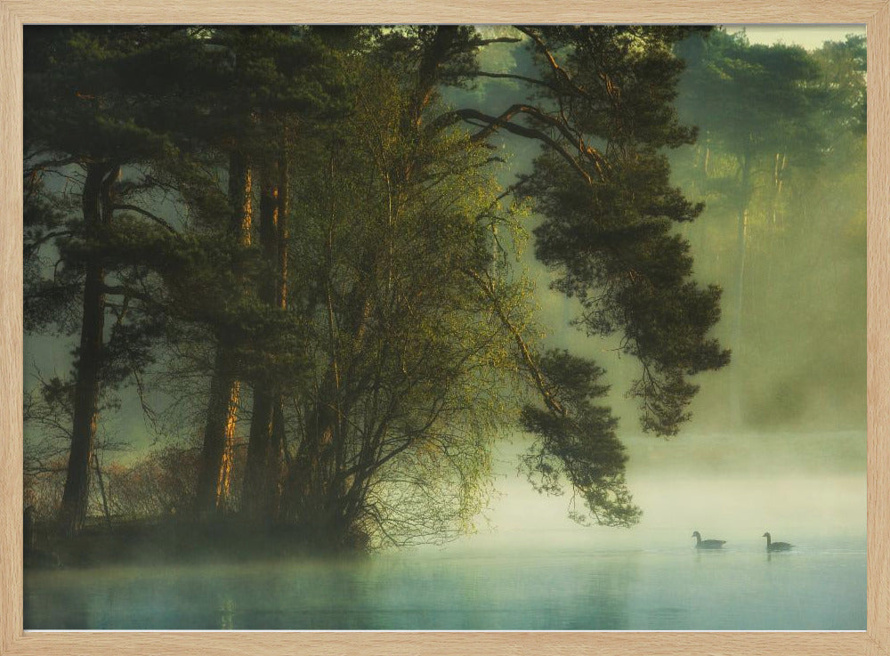 Holländisches Moor | Poster