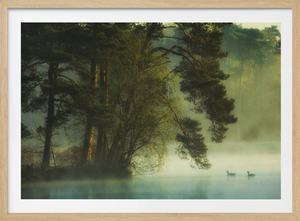 Holländisches Moor | Poster