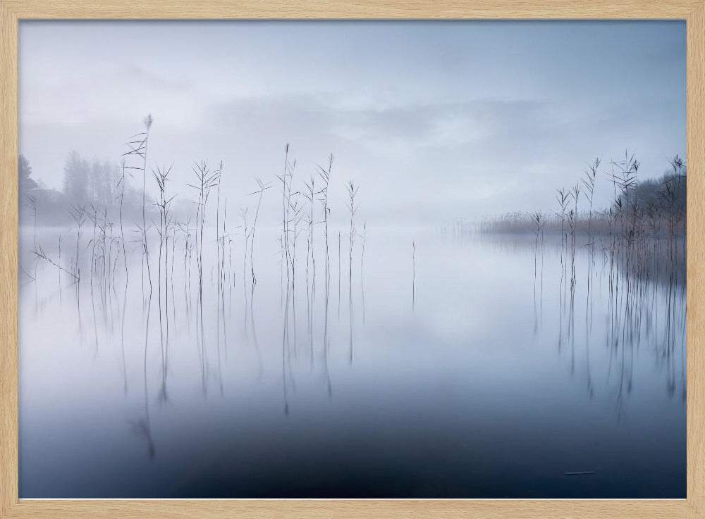 Ohne Titel | Poster
