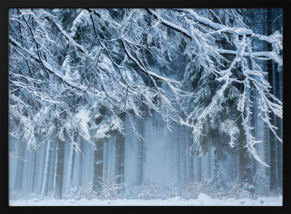 Schneewelt | Poster
