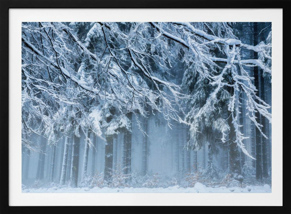 Schneewelt | Poster