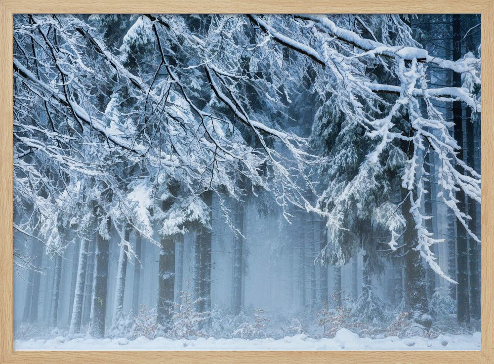 Schneewelt | Poster