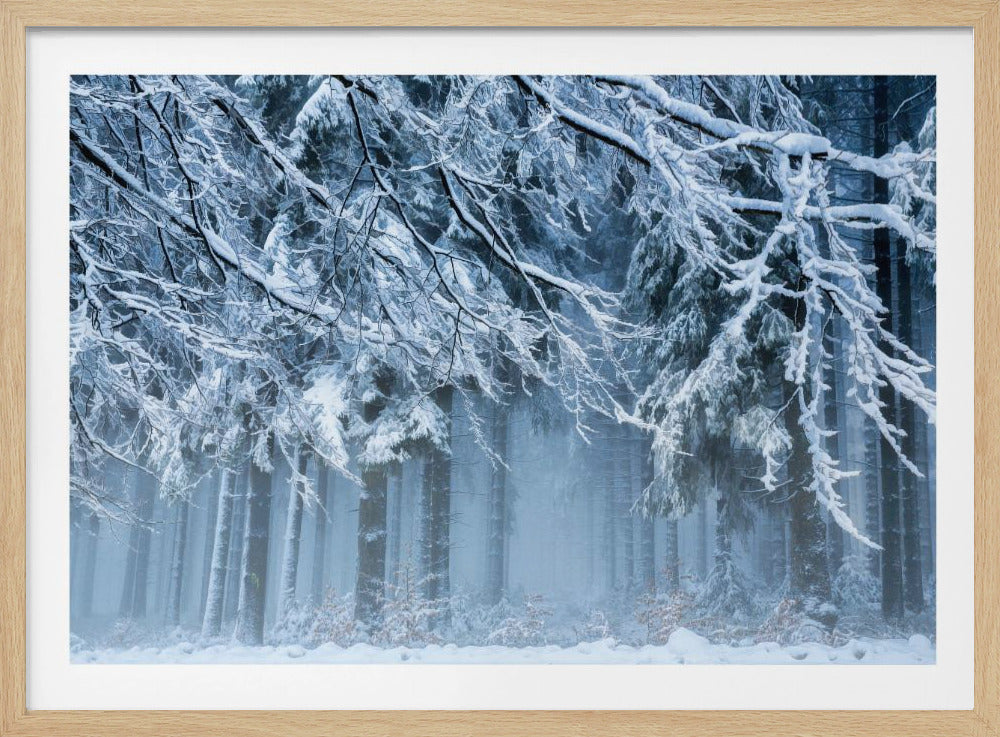 Schneewelt | Poster