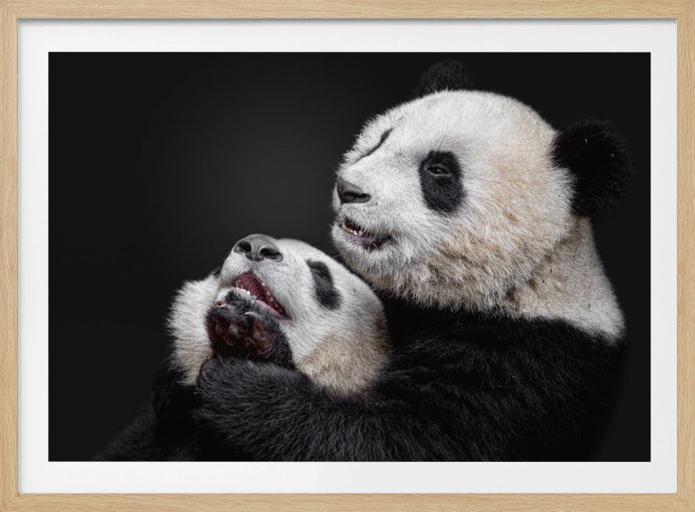 Pandas | Poster