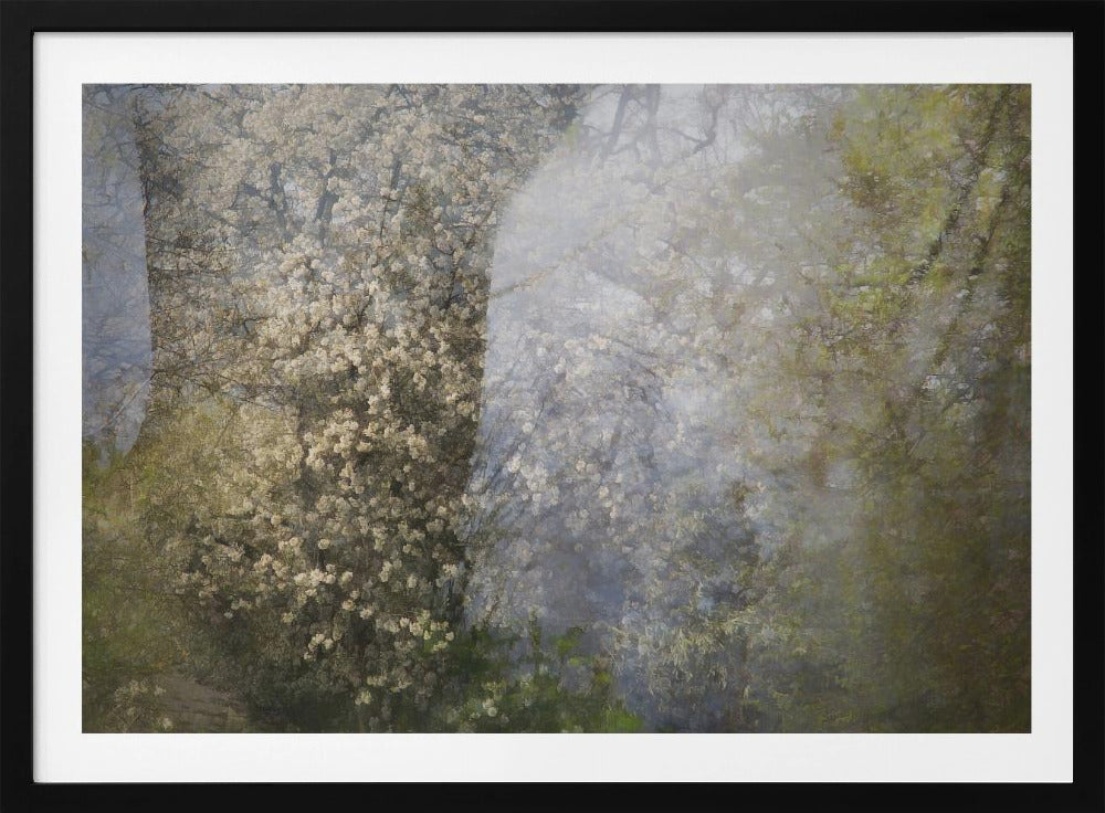 Blüte | Poster