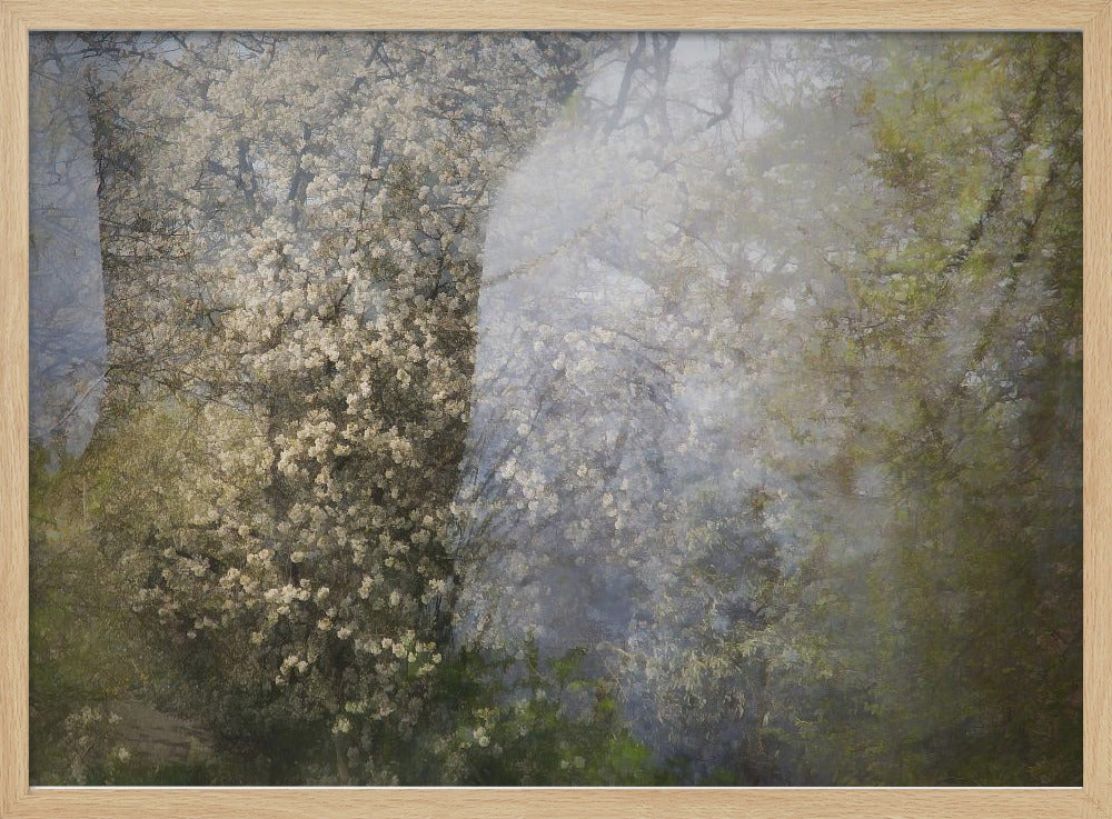 Blüte | Poster