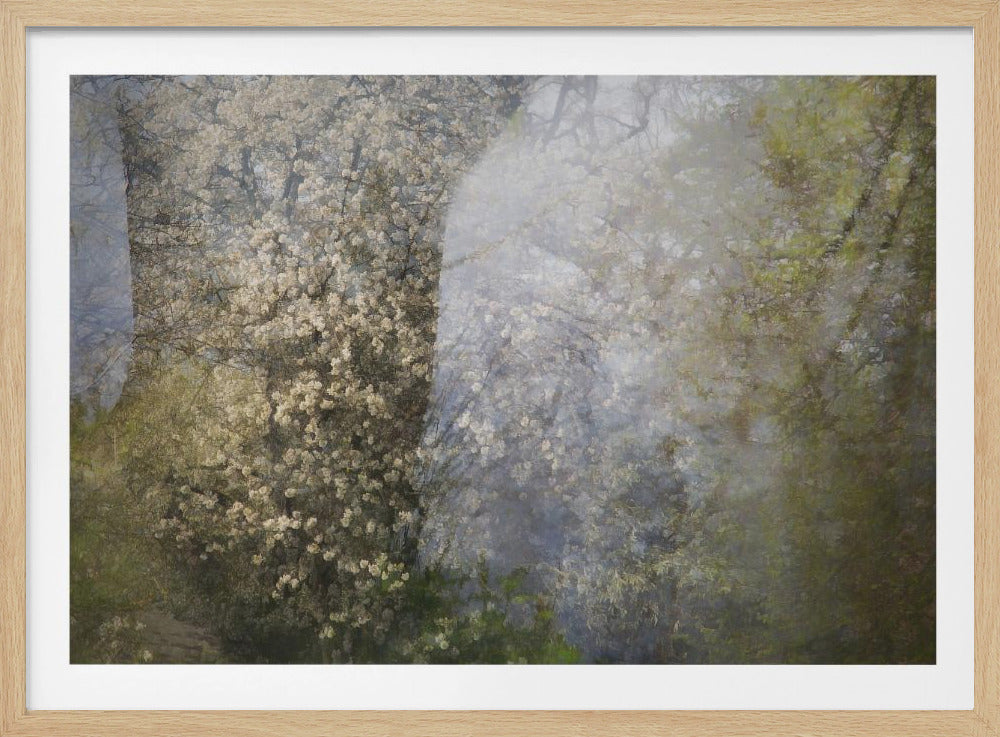 Blüte | Poster