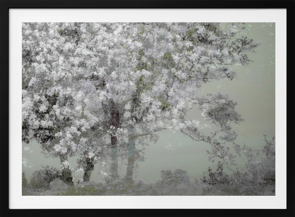 Frühling | Poster