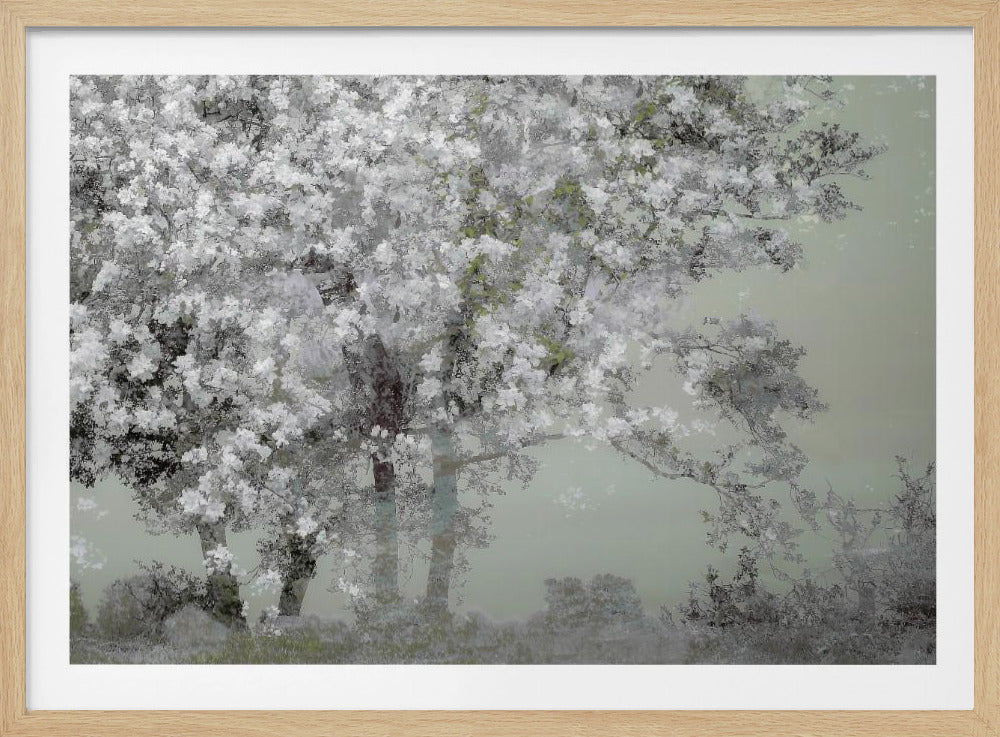 Frühling | Poster