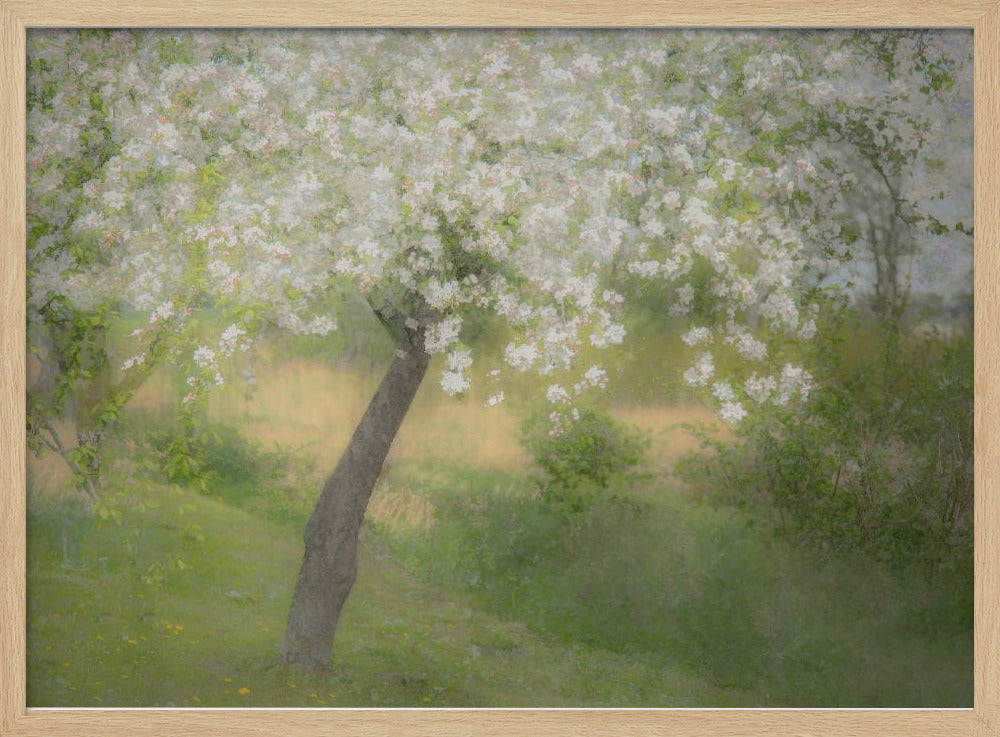 Im Garten | Poster