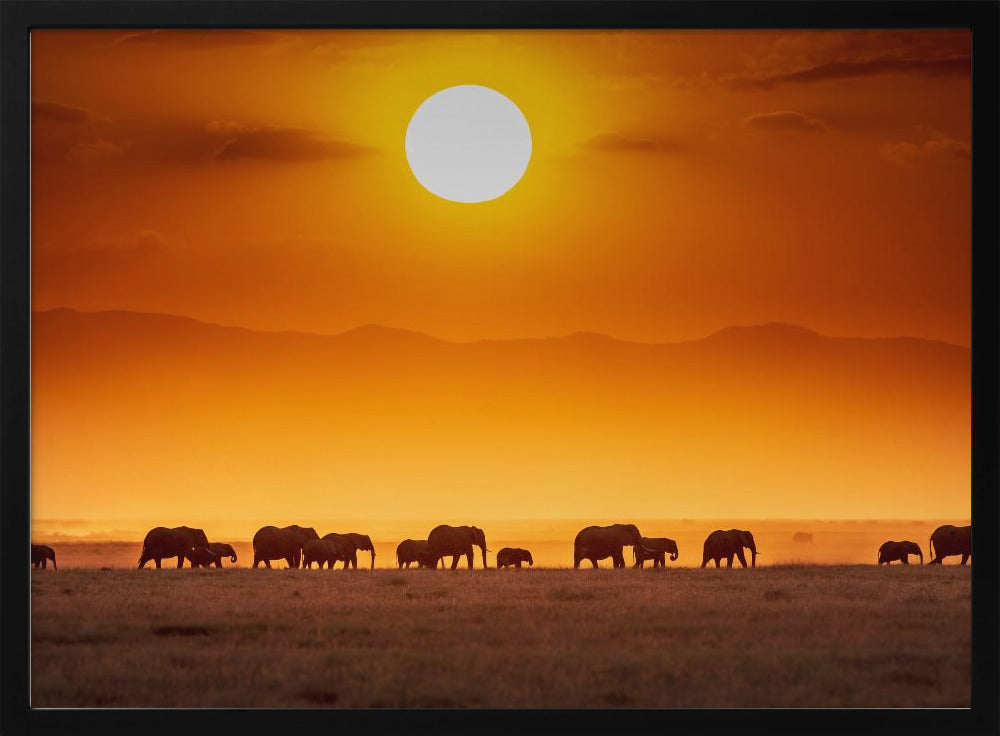 Sonnenaufgangsparade | Poster