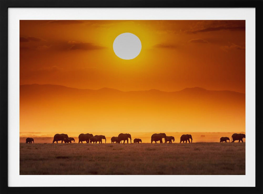 Sonnenaufgangsparade | Poster